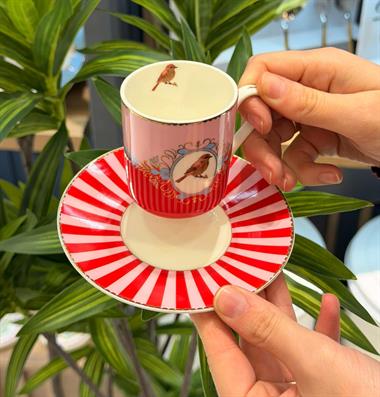 6lı Porselen Pink Bird Kahve Fincanı