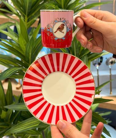 6lı Porselen Pink Bird Kahve Fincanı
