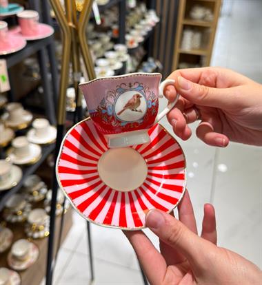 6lı Porselen Uccello Bird Kahve Fincanı