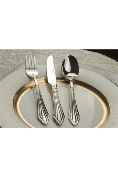 Mikasa Moor M104g 90 Parça Çatal Bıçak Takımı Altın