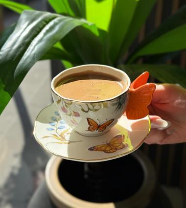 Mikasa Moor Mariposa 6lı Kahve Fincanı Seti 120cc