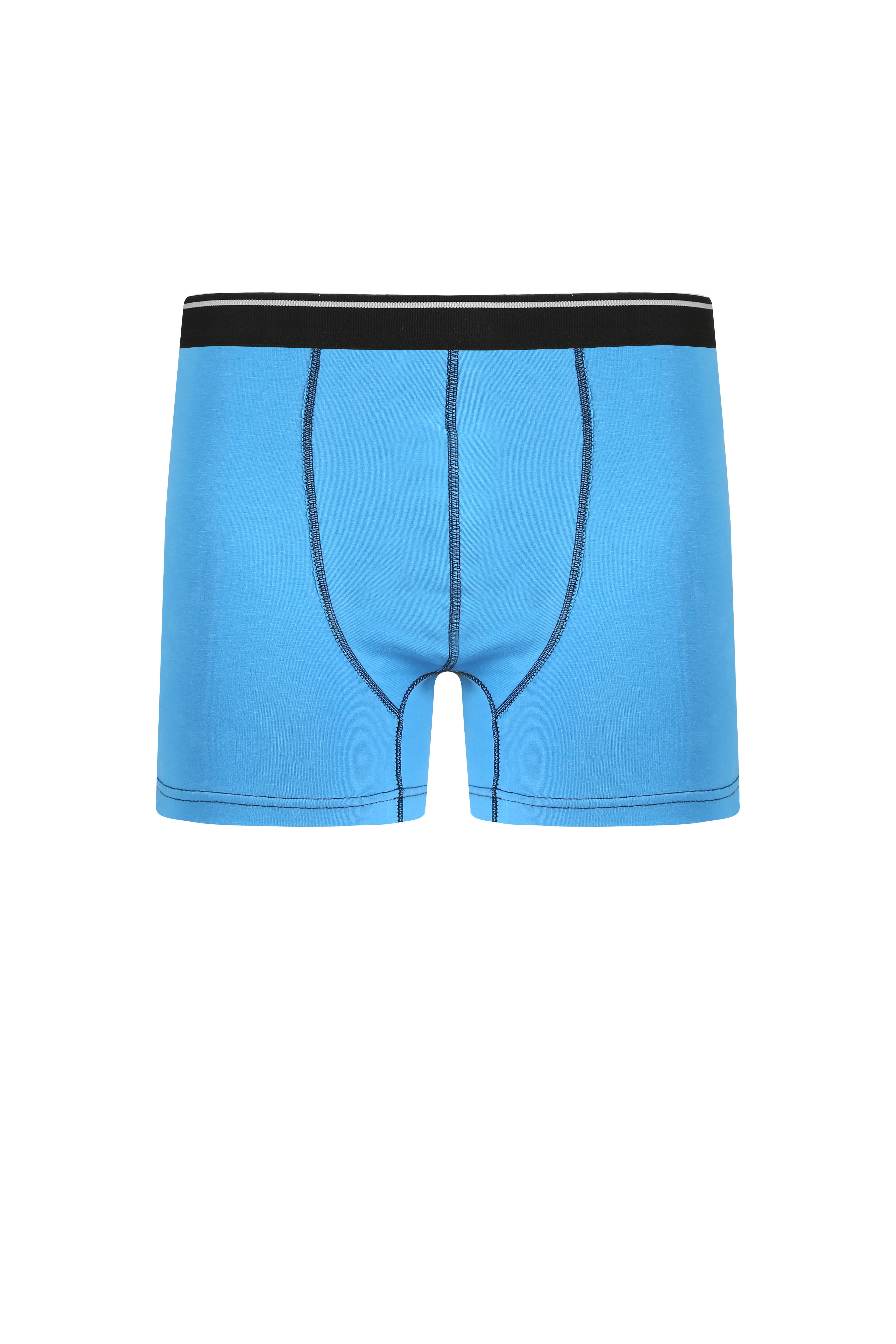 Akbeniz Erkek Pamuk Likralı Boxer Mavi 40133