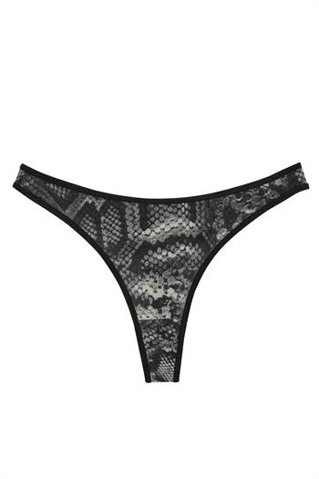 Akbeniz Kadın Siyah Yılan Desenli 2li Tanga Slip