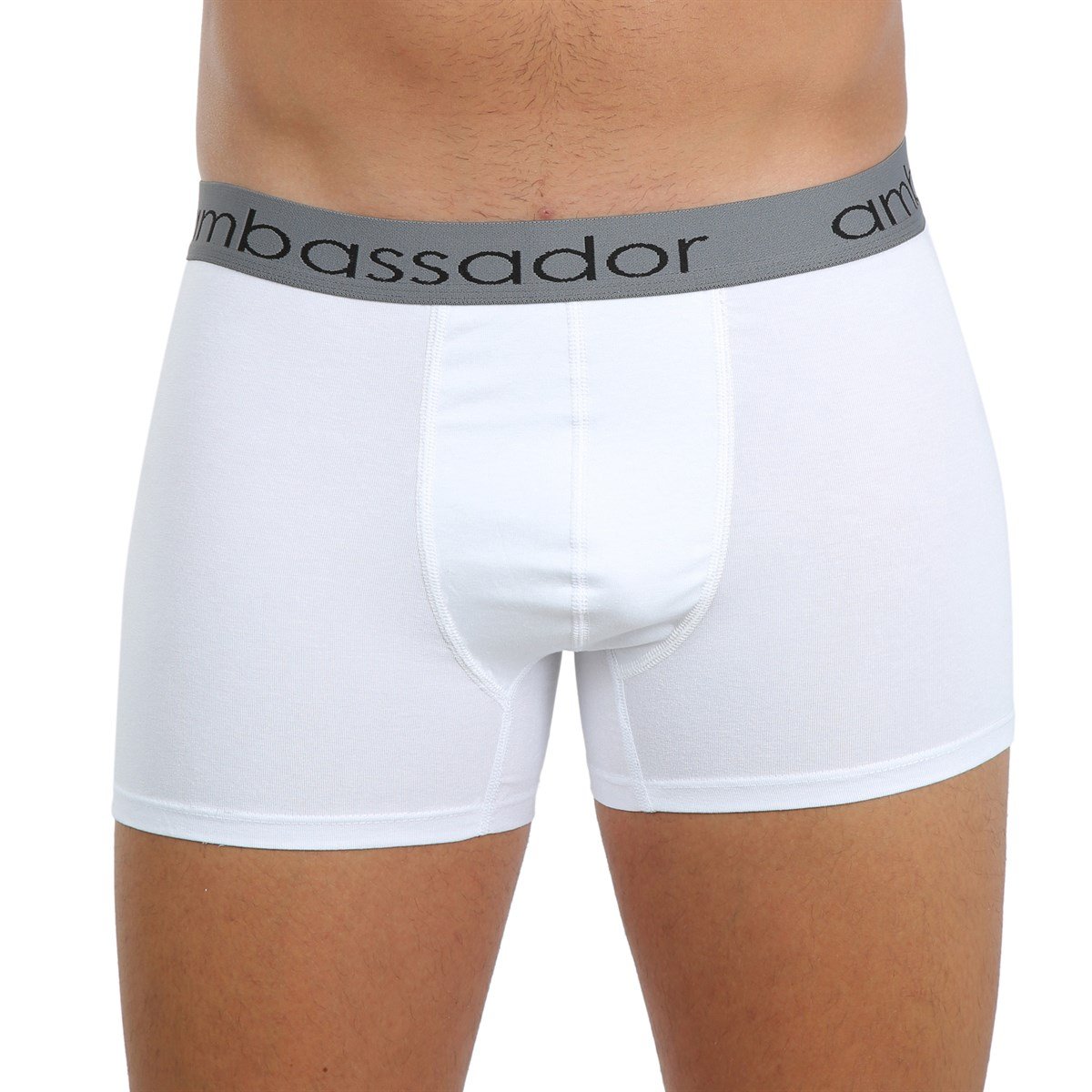 Akbeniz Erkek Likralı Boxer 40053