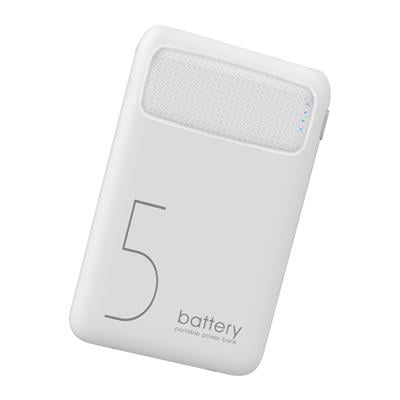 ACL PW-91 5.000 mAh Taşınabilir Şarj Aleti/Powerbank