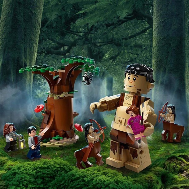 Lego Harry Potter Yasak Orman: Grawp ve Umbridge'in Karşılaşması 75967 -  Toysall