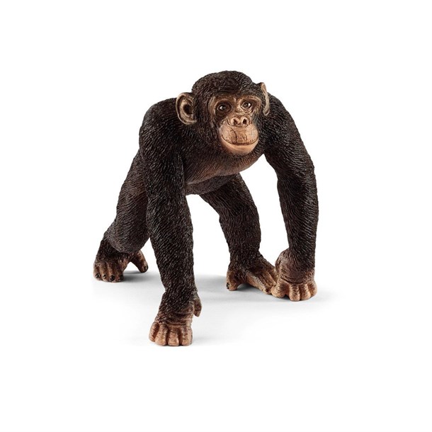 Schleich Erkek Şempanze 14817