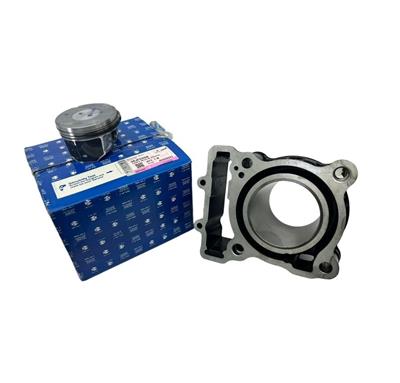 Bajaj Dominar 250 Silindir Set Orijinal