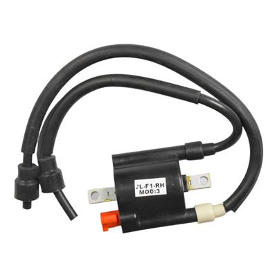 Bajaj Pulsar Rs 200 Ateşleme Bobini Çiftli Orijinal