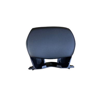 Honda Adv350 Sissybar