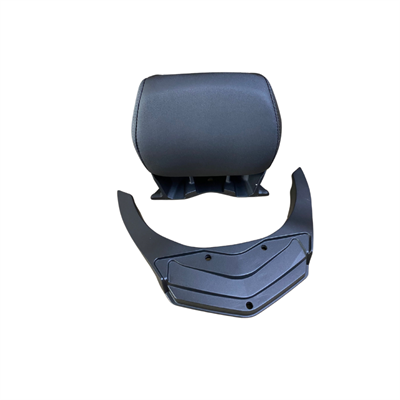 Honda Forza 250 Sissybar 2023-2025