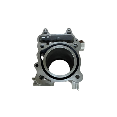 Honda Forza 350 Silindir Modifiyeli Oem 2021-2025