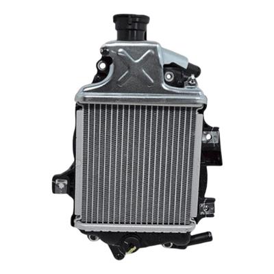 Honda Pcx Radyatör Orijinal 2018-2020