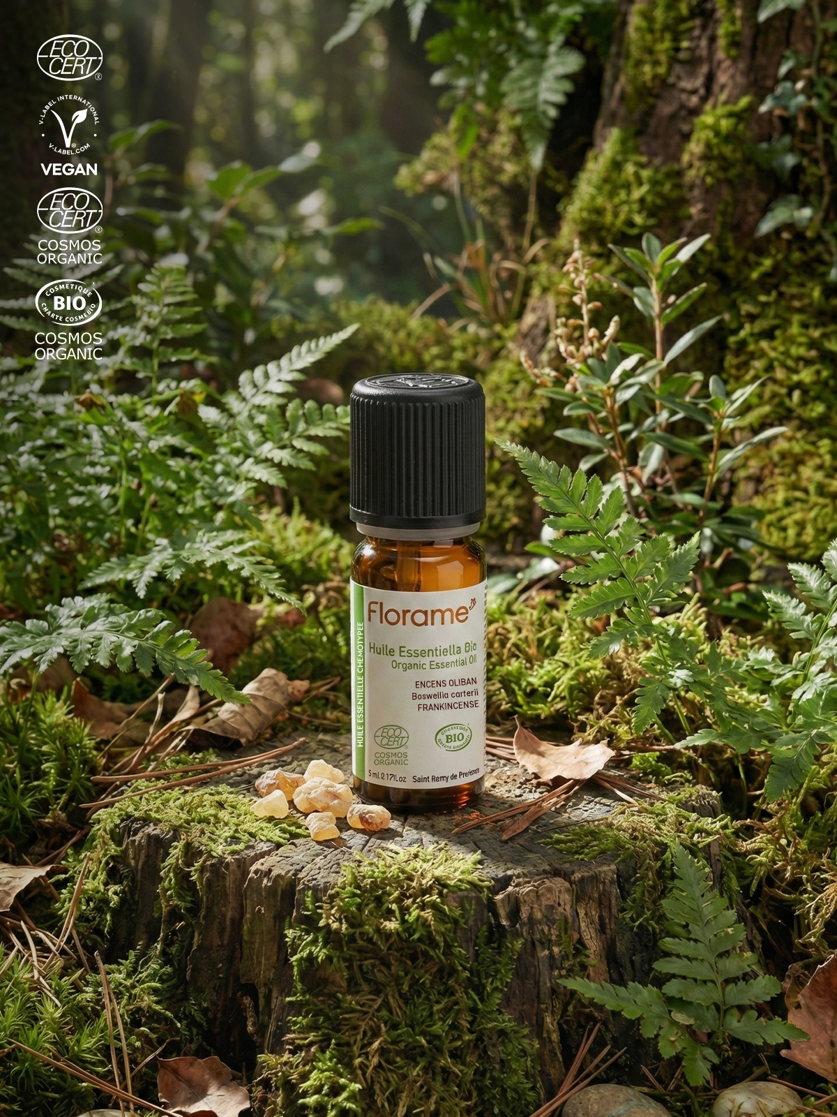Organik Frankincense (Günlük) Uçucu Yağı - Boswellia carterii - 5 ml
