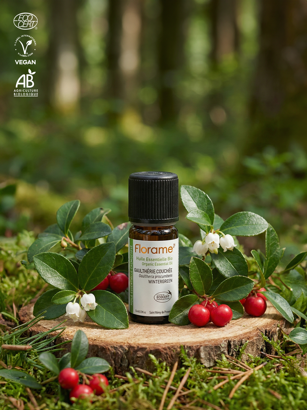 Organik Wintergreen Uçucu Yağı (Gaultheria procumbens)-10 ml
