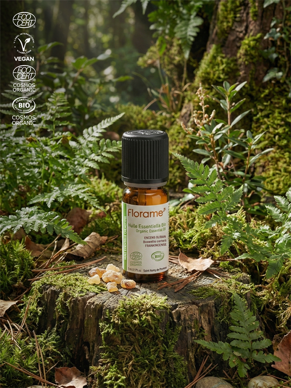 Organik Frankincense (Günlük) Uçucu Yağı - Boswellia carterii - 5 ml