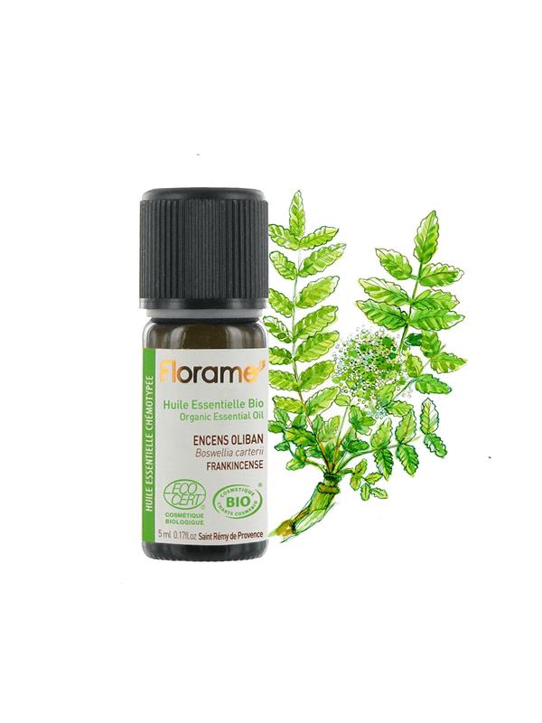 Organik Frankincense (Günlük) Uçucu Yağı - Boswellia carterii - 5 ml
