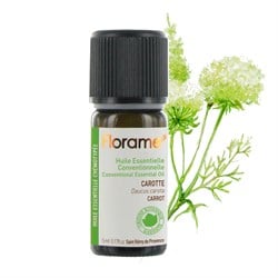 Organik Havuç Tohumu Uçucu Yağı (Daucus carota)-5 ml