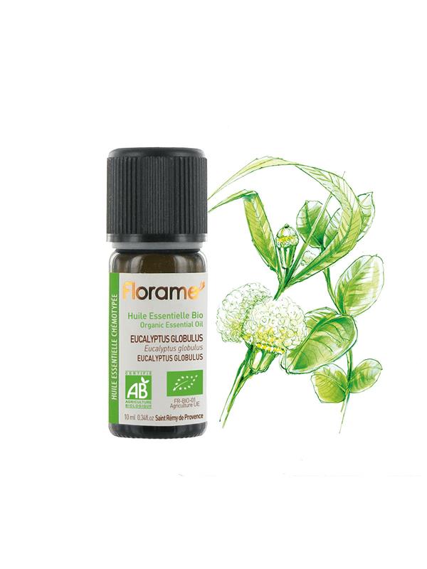 Organik Okaliptus Globulus Uçucu Yağı (Eucalyptus globulus)-10 ml