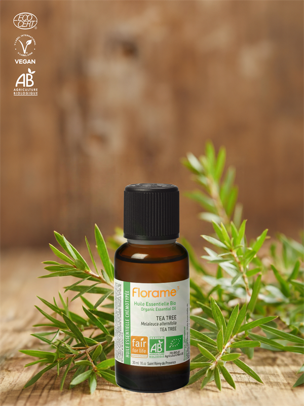 Organik Çay Ağacı Uçucu Yağı (Melaleuca alternifolia)-30 ml