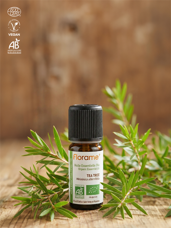 Organik Çay Ağacı Uçucu Yağı (Melaleuca alternifolia) - 10 ml