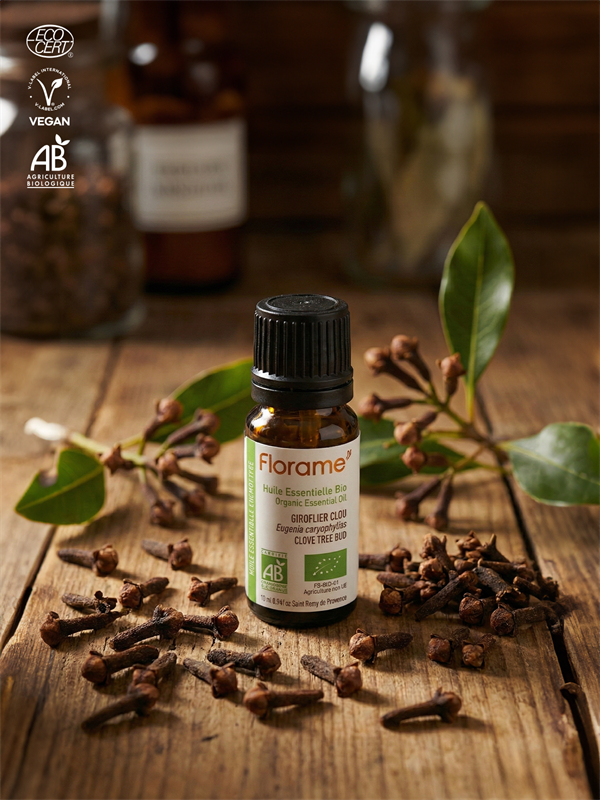 Organik Karanfil Tohumu Uçucu Yağı (Eugenia caryophyllus)-10 ml