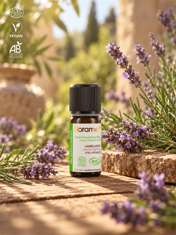 Organik Lavanta Aspik Uçucu Yağı (Lavandula latifolia)-10 ml