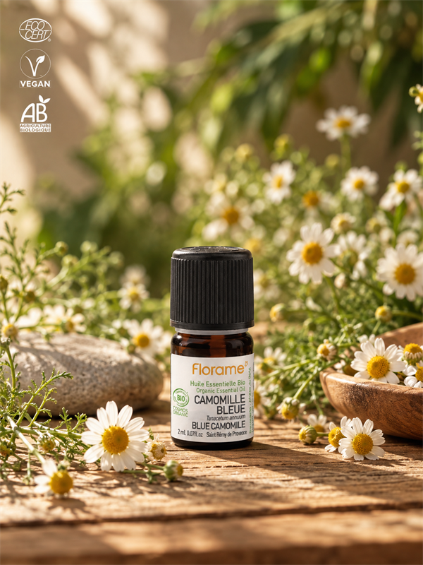 Organik Mavi Papatya Uçucu Yağı (Tanacetum annuum)-2 ml