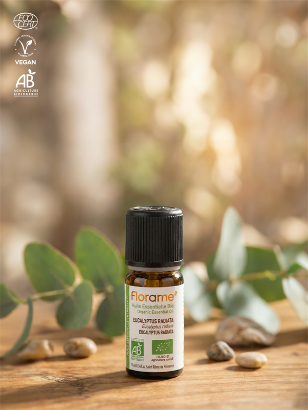 Organik Okaliptus Radiata Uçucu Yağı (Eucalyptus radiata)-10 ml