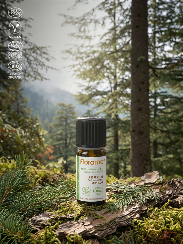 Organik Sedir Uçucu Yağı (Cedrus atlantica)-10 ml