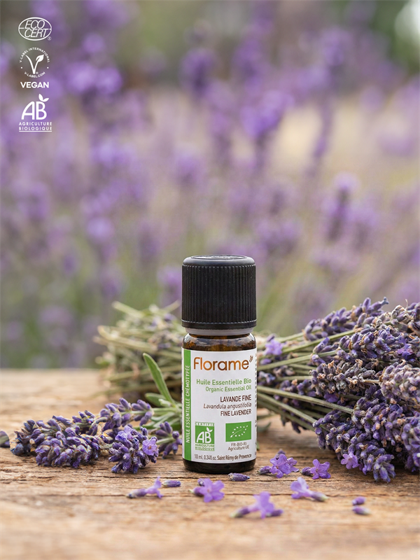 Organik Tıbbi Lavanta Uçucu Yağı (Lavandula angustifolia)-10 ml