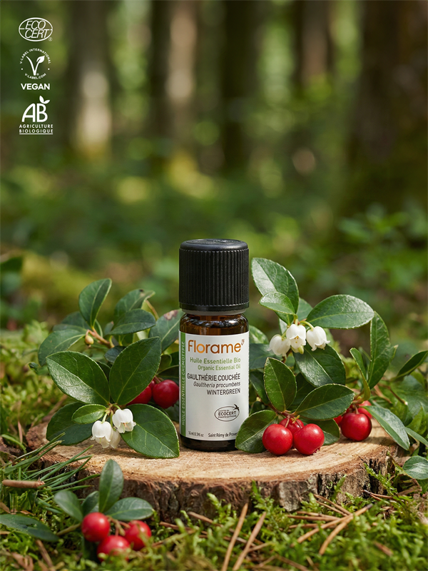 Organik Wintergreen Uçucu Yağı (Gaultheria procumbens)-10 ml