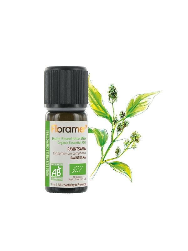 Organik Ravintsara Cineol Uçucu Yağı (Cinnamomum camphora) - 10 ml