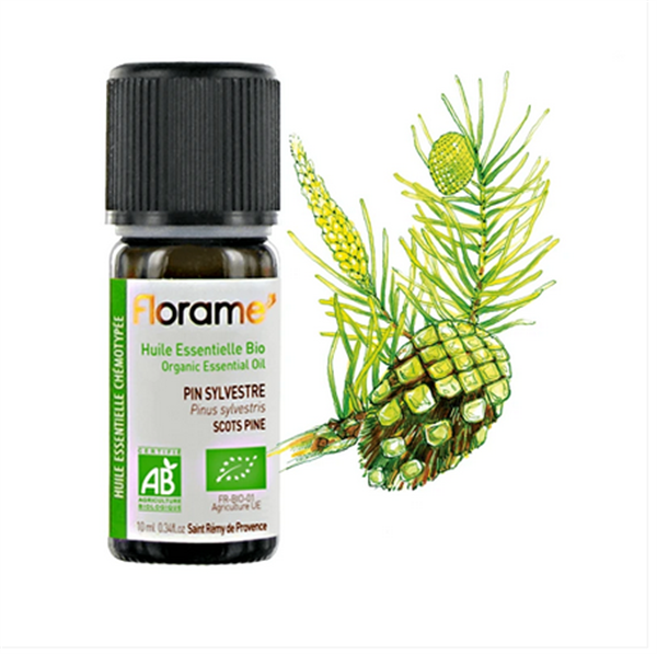 Organik Sarı Çam (Pinus sylvestris) Uçucu Yağı)-10 ml