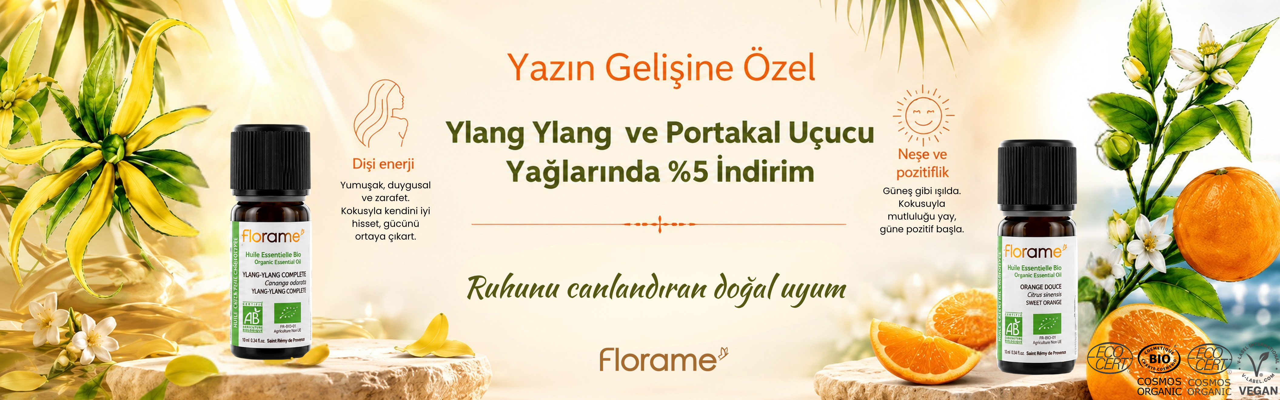 yaz kampanyası