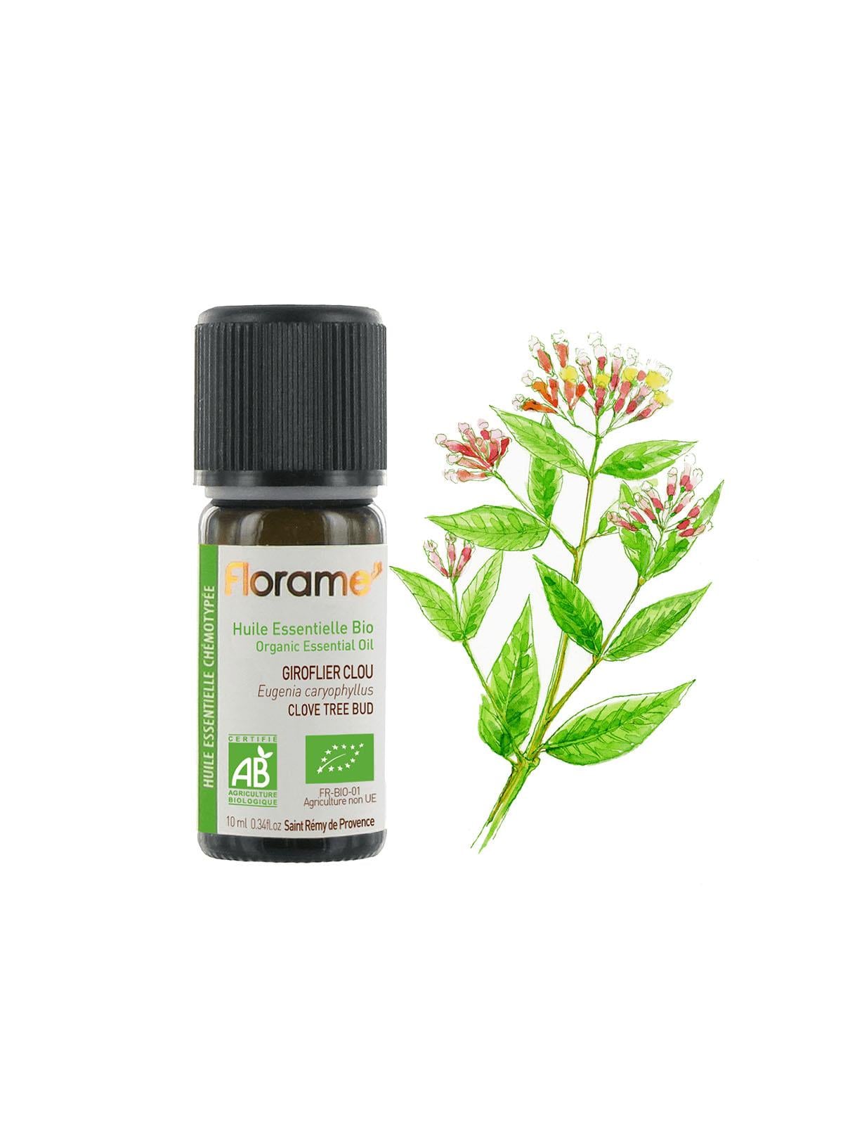 Karanfil Tohumu (Eugenia caryophyllus)-10 ml