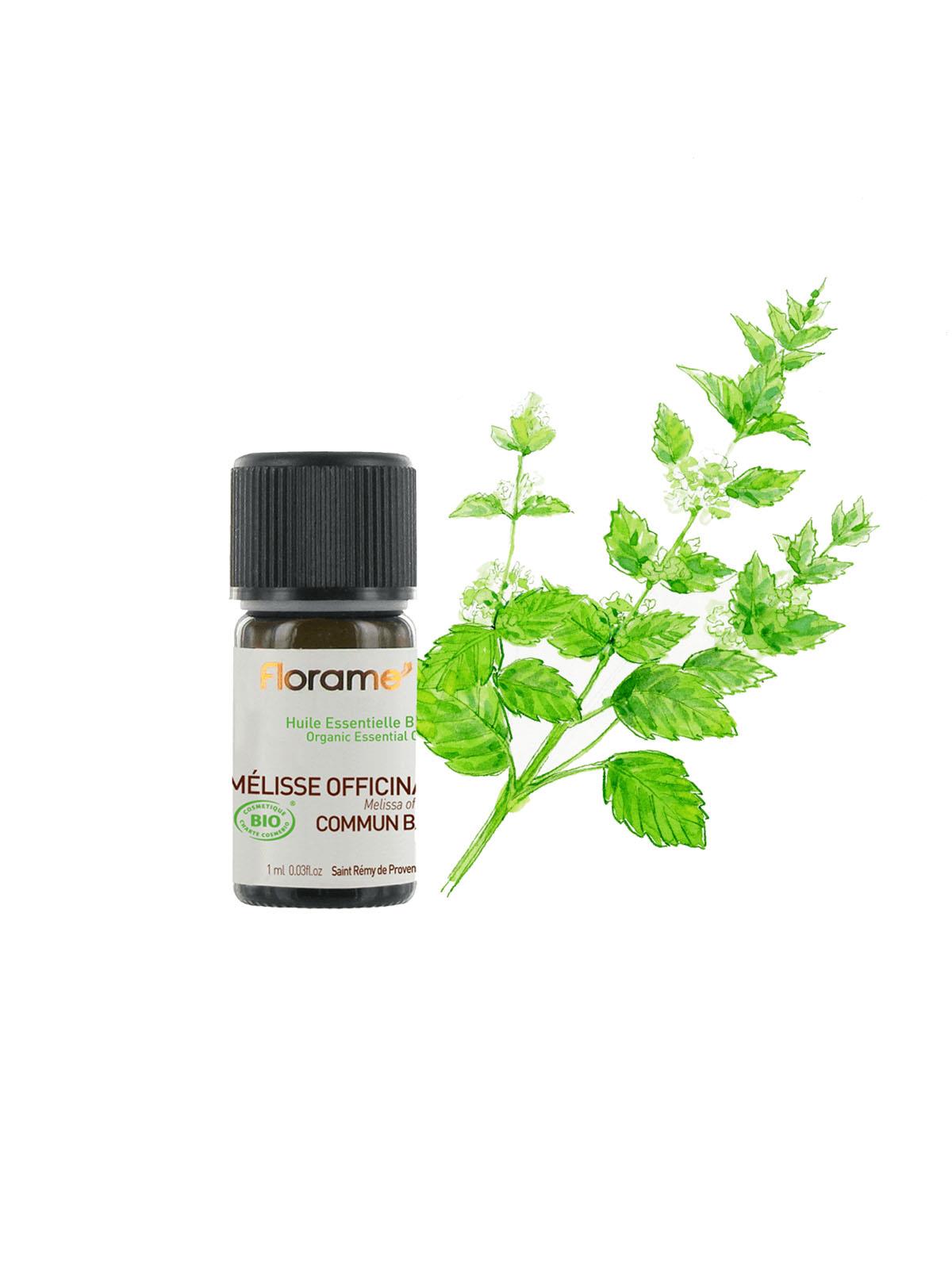 Melisa (Melissa officinalis) -1 ml