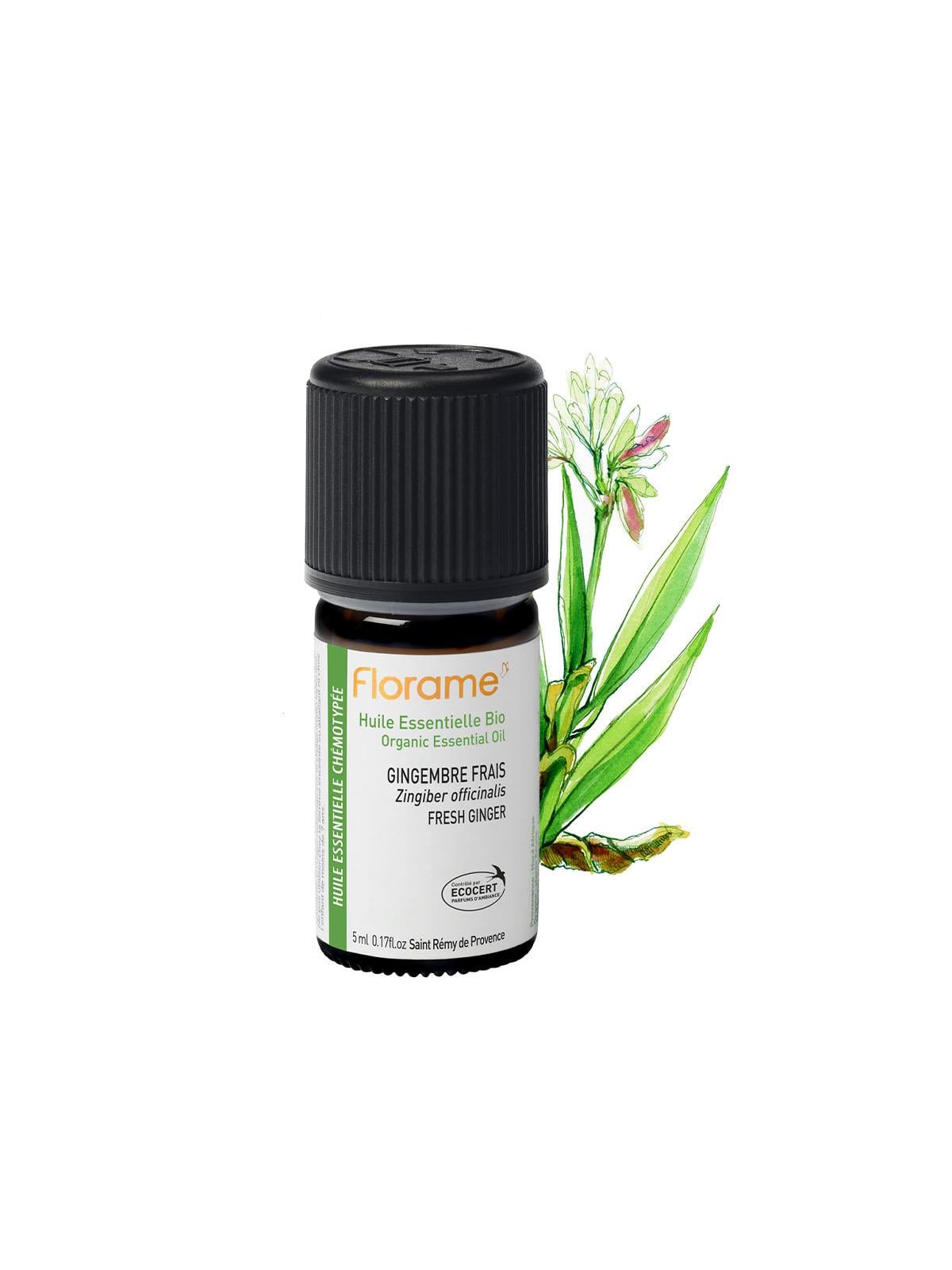 Zencefil  (Zingiber officinalis)-5 ml