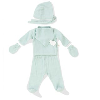 Wellgro Angel Wings Hastane Çıkışı Müslin 5li Yeni Doğan Seti-Mint
