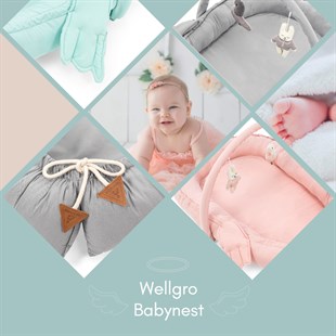 Wellgro Babynests with Angel Wing - Gray