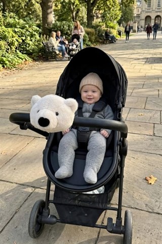 Wellgro Softyheads Çok Amaçlı Peluş Aksesuar - Scooter, Bisiklet, Bebek Arabası Başlığı, Beyaz Ayı