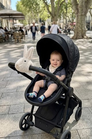 Wellgro Softyheads Çok Amaçlı Peluş Aksesuar - Scooter, Bisiklet, Bebek Arabası Başlığı, Tavşan