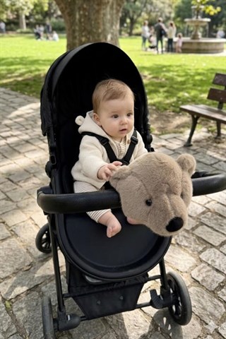 Wellgro Softyheads Çok Amaçlı Peluş Aksesuar - Scooter, Bisiklet, Bebek Arabası Başlığı, Kahve Ayı