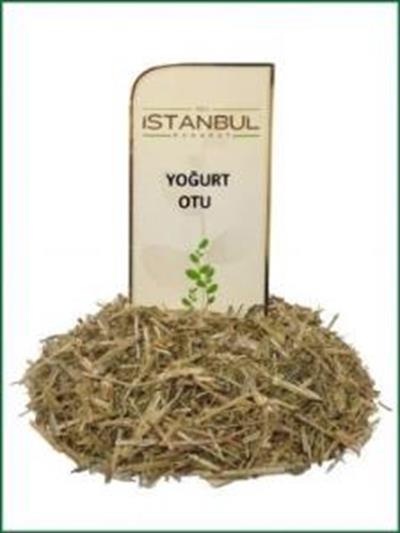 İstanbul Baharat Yoğurt Otu 50 gr