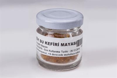 Mayaköy Su Kefiri Mayası 10 gr