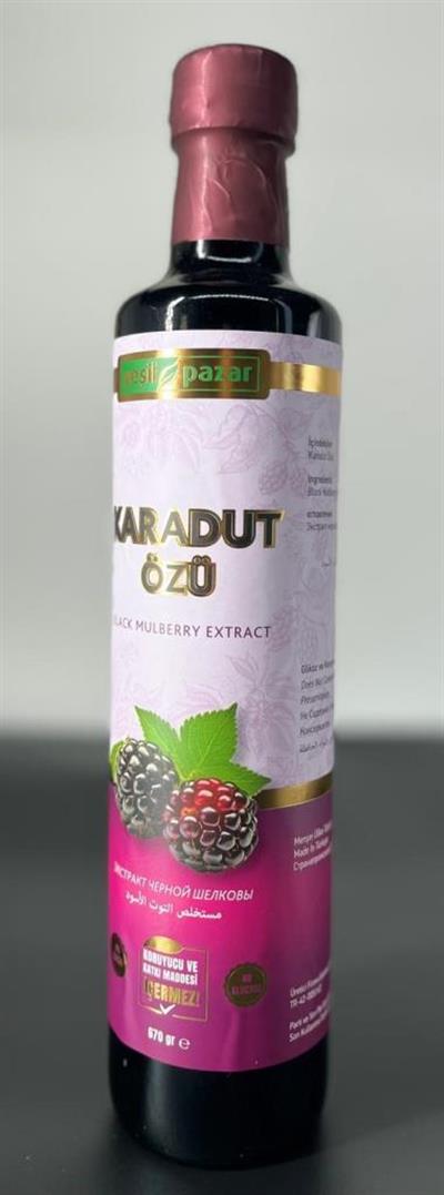 Yeşil Pazar Karadut Özü 670 Gr
