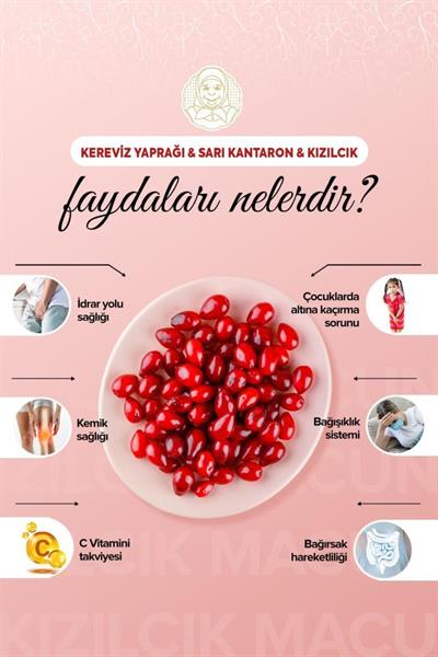 Zühre Ana Kızılcık Macunu Kereviz Yaprağı ve Sarı Kantaron 240 Gr