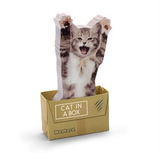 Mustard Cat in a Box Yapışkanlı Not Kağıdı - Renkli