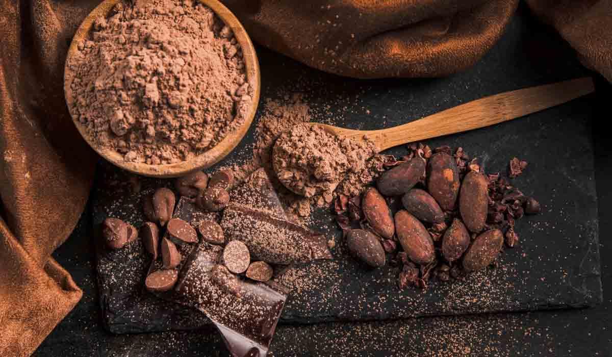 Ham Kakao Nedir? Ham Kakao Özellikleri Nelerdir?