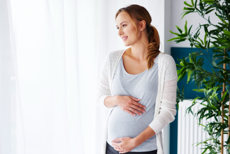 Hamilelik Döneminde Beslenmeye Dair Bilinmesi Gerekenler